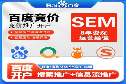 SEM服务案例：打造行业领先品牌